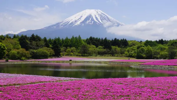 Monte Fuji
